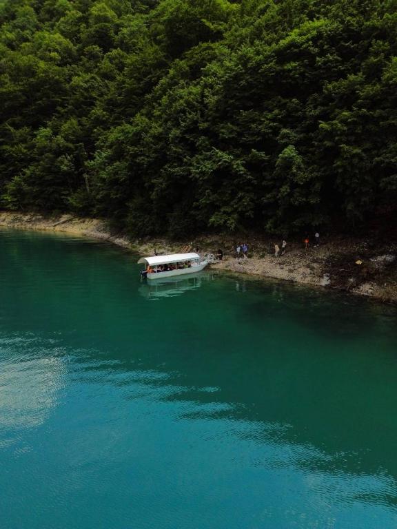 Земля в Плужине, Черногория, 10 Га - фото 11