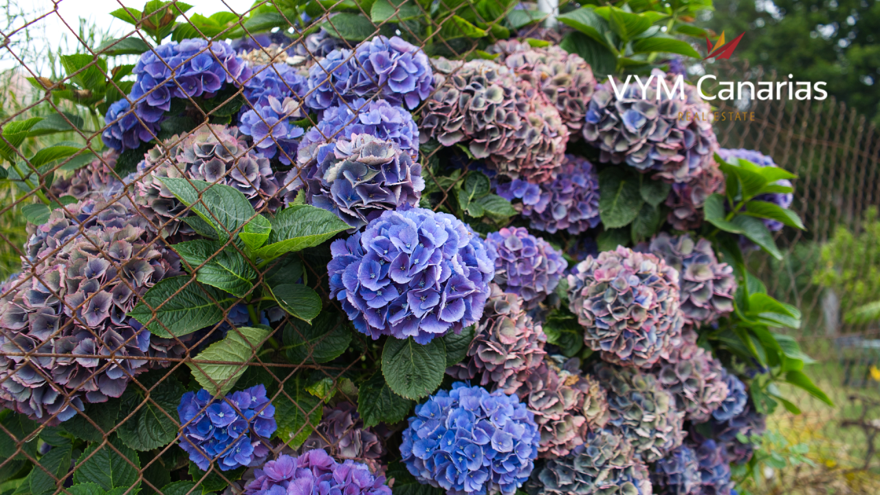 Вилла на Тенерифе, Испания, 450 м² - фото 5