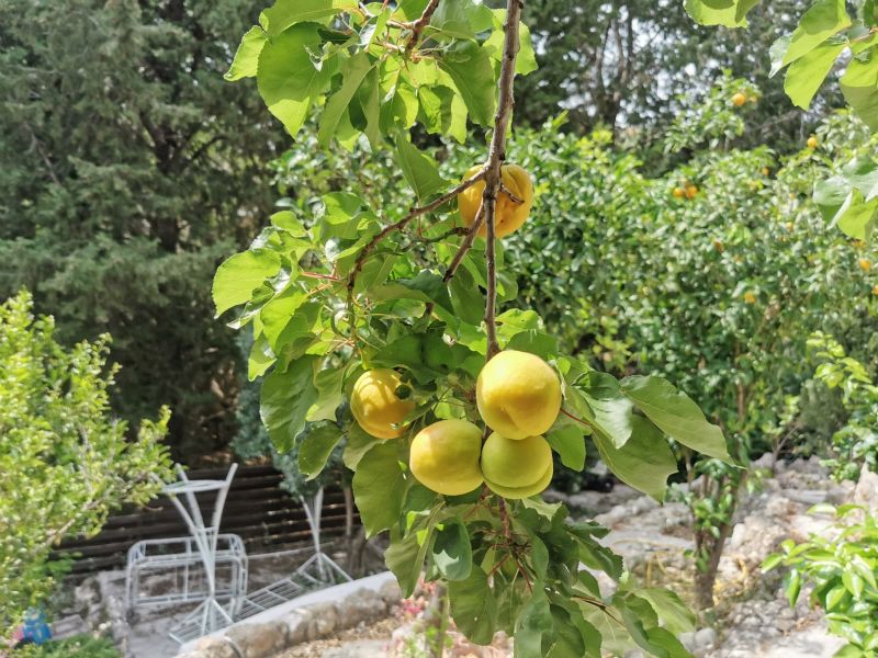 Вилла в Пафосе, Кипр, 350 м² - фото 4