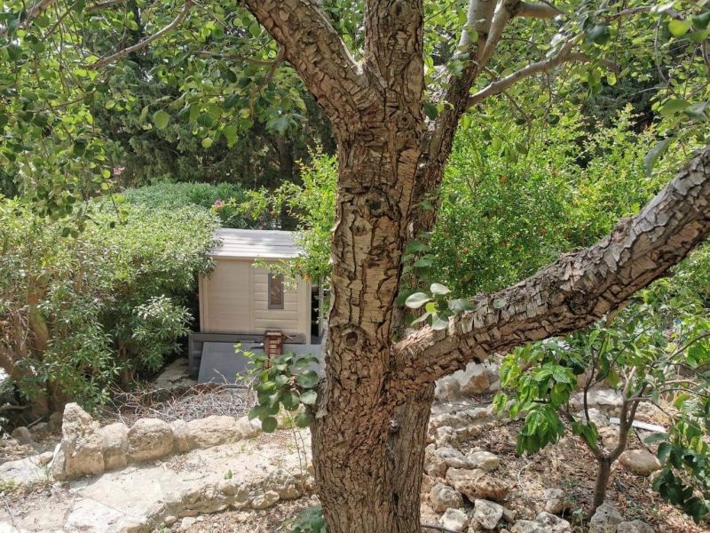 Вилла в Пафосе, Кипр, 350 м² - фото 7