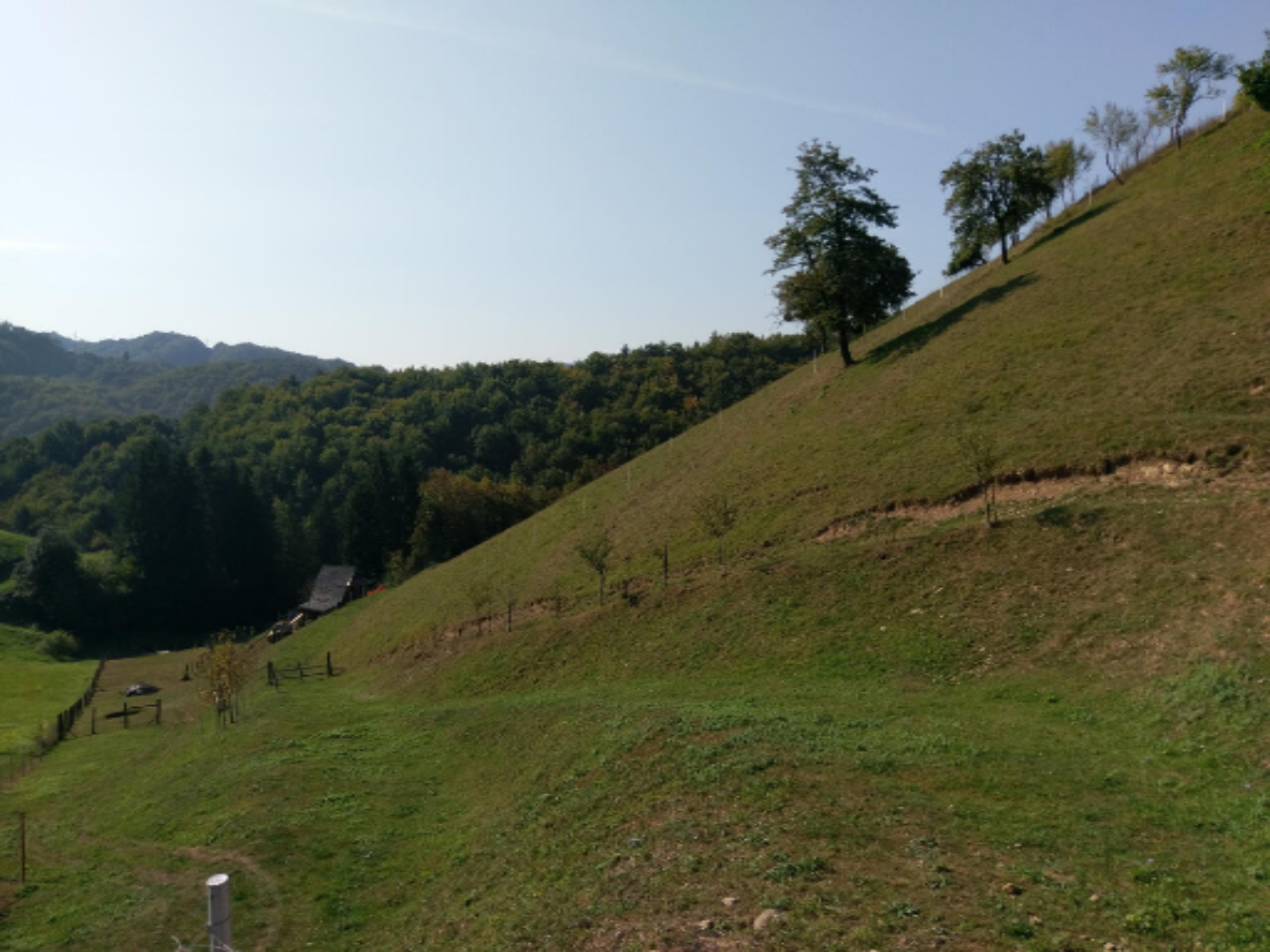 Ферма в Птуе, Словения, 28 000 м² - фото 2