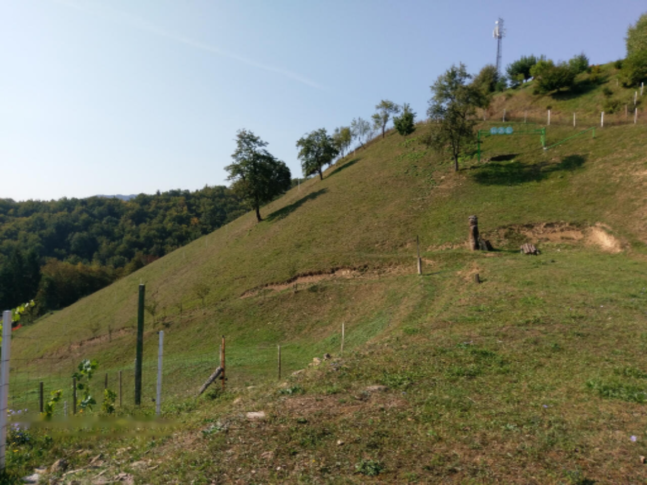 Ферма в Птуе, Словения, 28 000 м² - фото 3