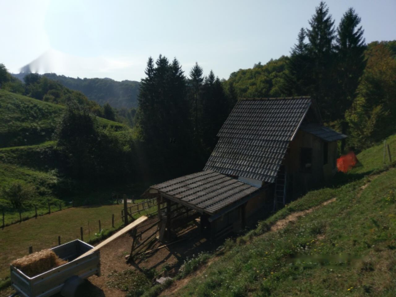 Ферма в Птуе, Словения, 28 000 м² - фото 4