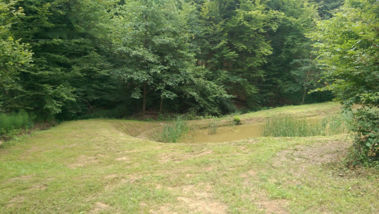 Ферма в Птуе, Словения, 28 000 м² - фото 7