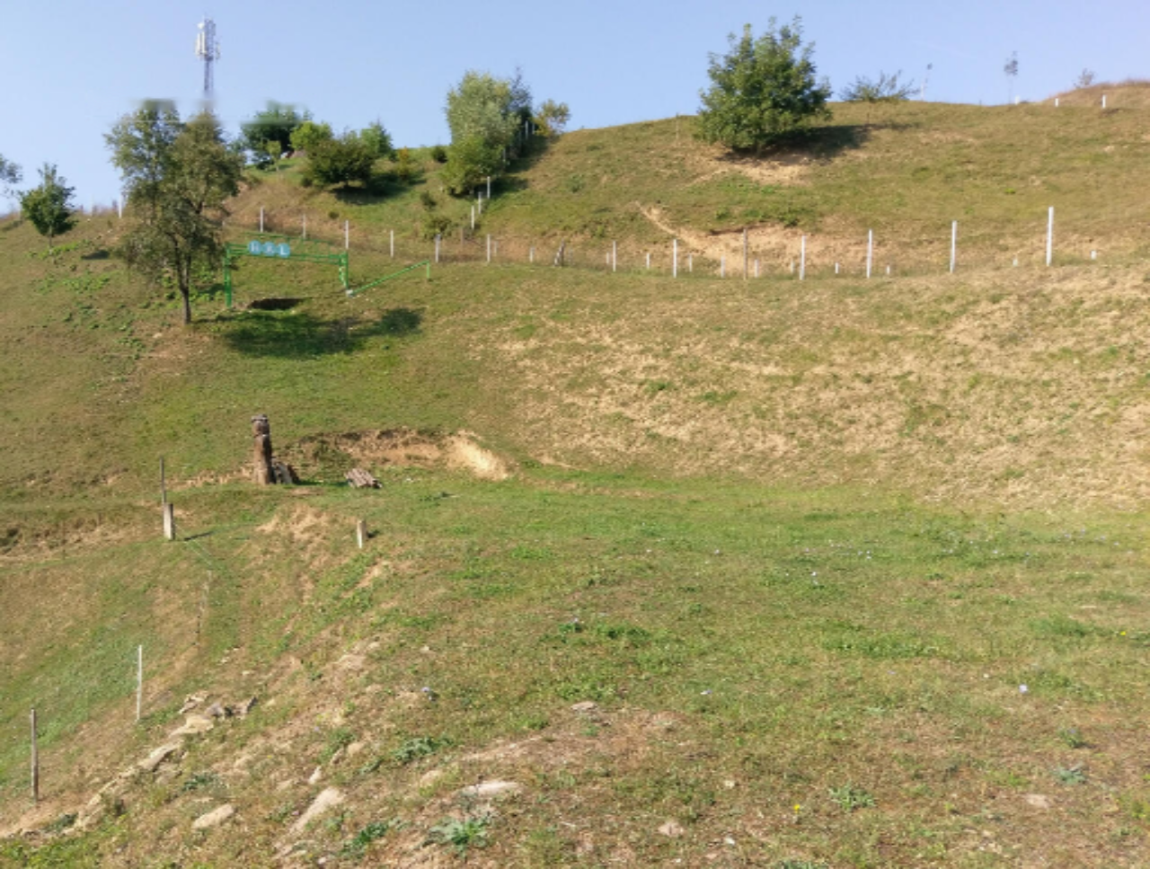 Ферма в Птуе, Словения, 28 000 м² - фото 10