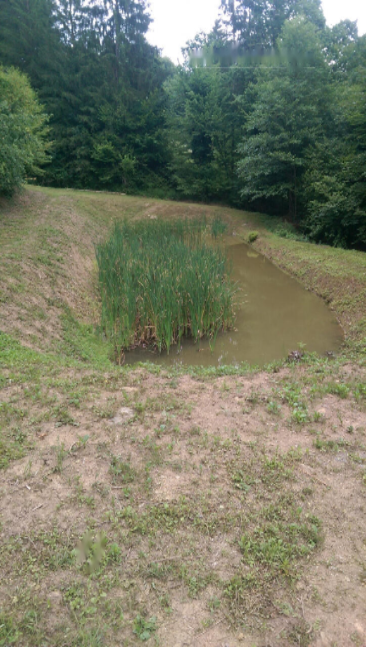 Ферма в Птуе, Словения, 28 000 м² - фото 12