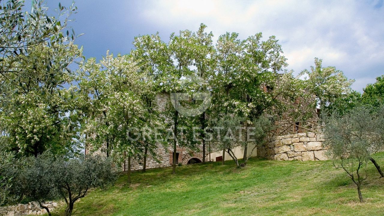 Отель, гостиница в Тоди, Италия, 1 571.75 м² - фото 6