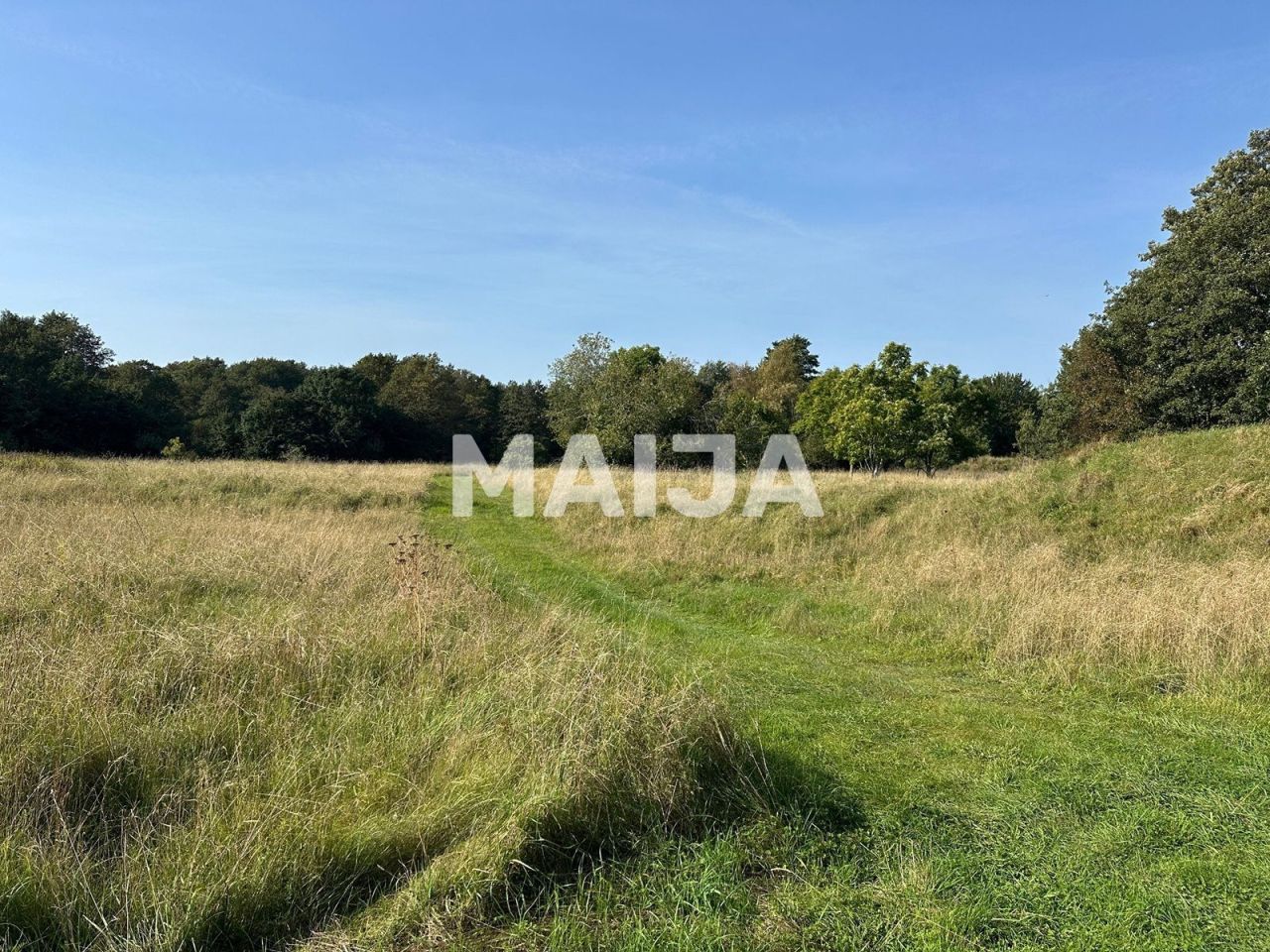 Земля Sääre küla, Эстония, 124 406 м² - фото 7