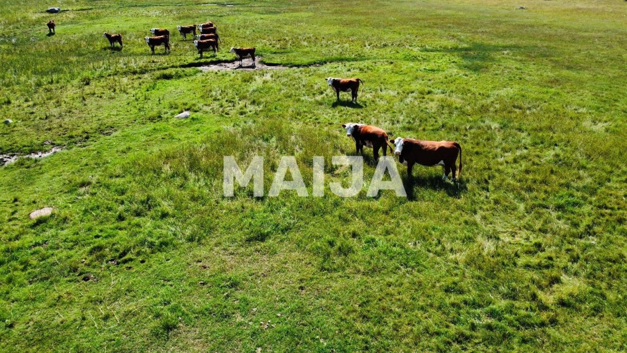 Земля Pöide-Keskvere küla, Эстония, 41 812 м² - фото 8