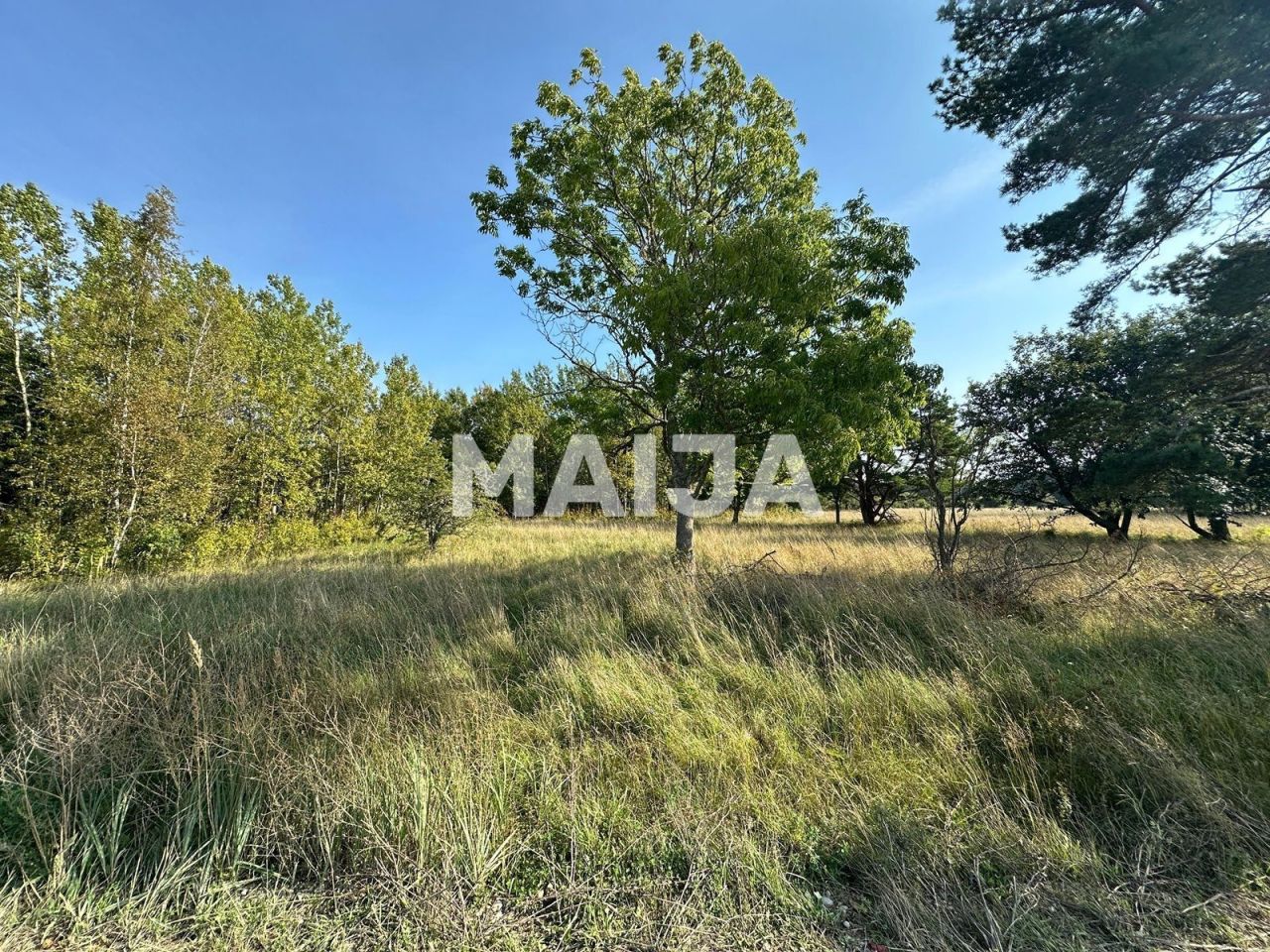 Земля Sääre küla, Эстония, 124 406 м² - фото 9