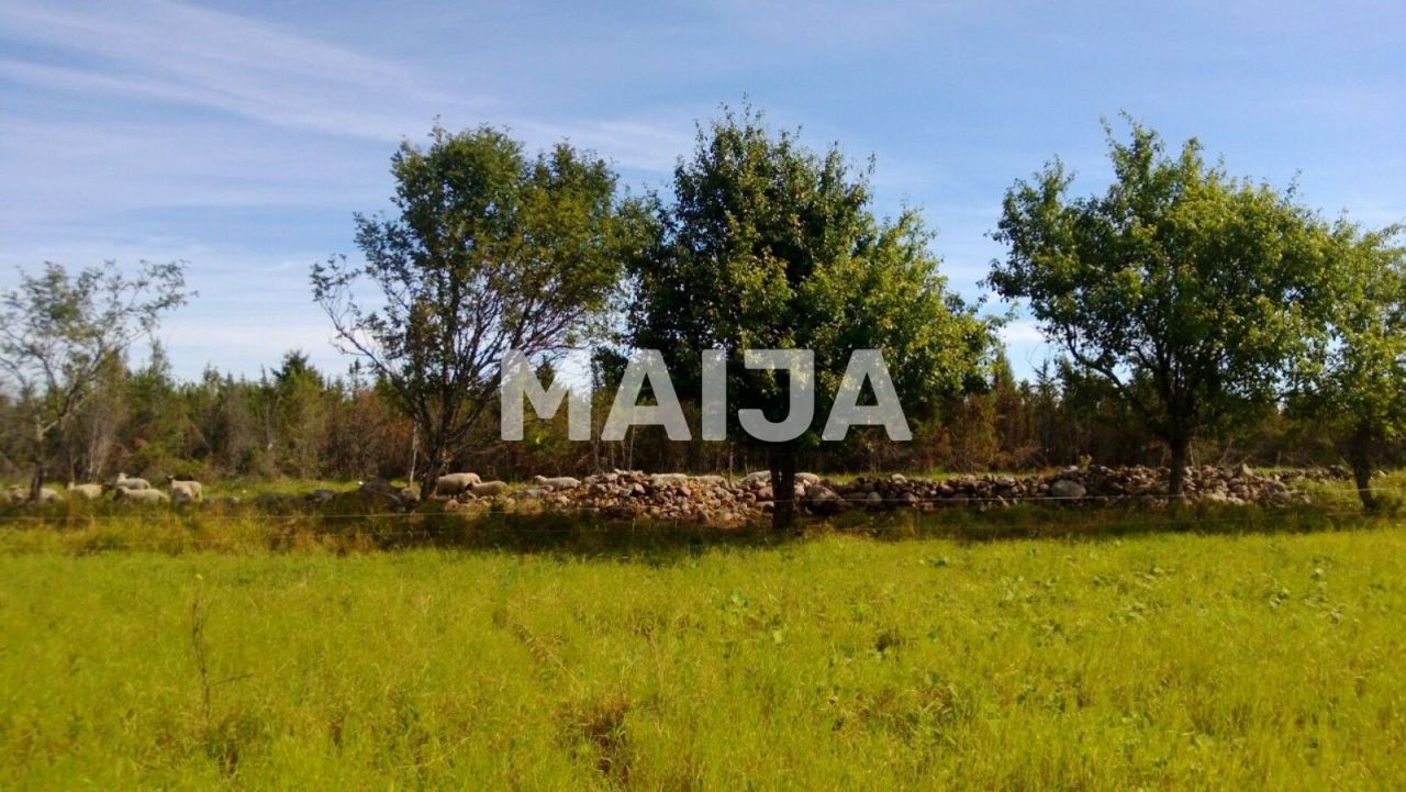 Земля Pöide-Keskvere küla, Эстония, 41 812 м² - фото 9