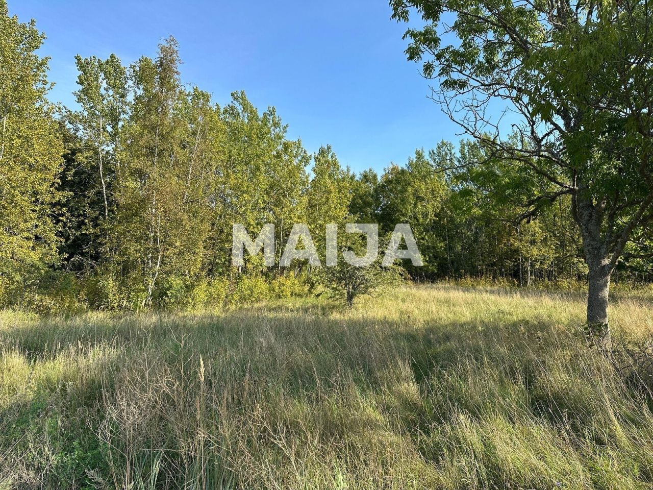 Земля Sääre küla, Эстония, 124 406 м² - фото 10