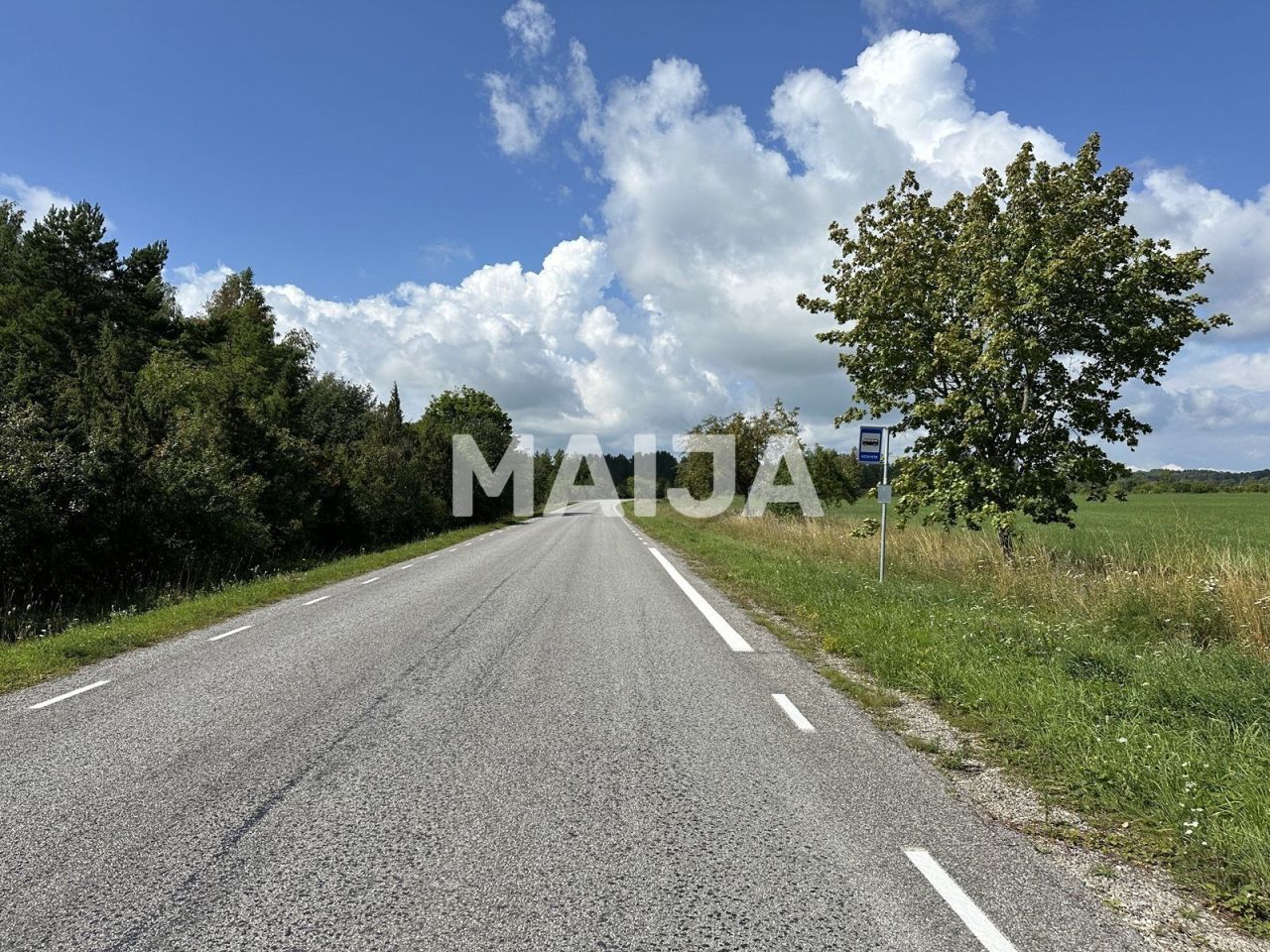 Земля Pöide-Keskvere küla, Эстония, 41 812 м² - фото 11
