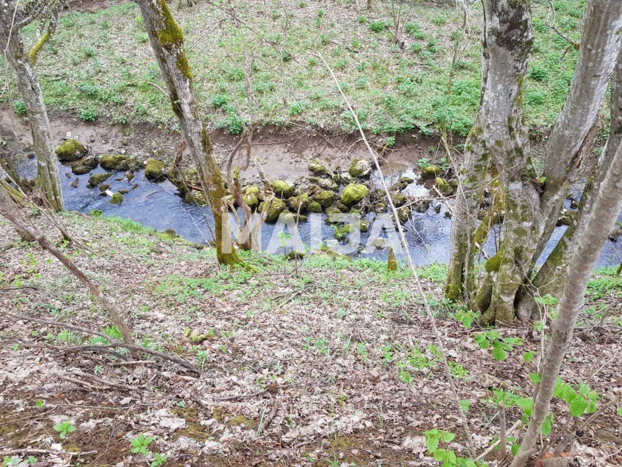 Земля в Слуне, Хорватия, 782 333 м² - фото 8