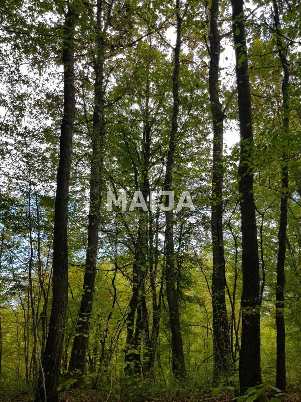 Земля в Слуне, Хорватия, 782 333 м² - фото 10