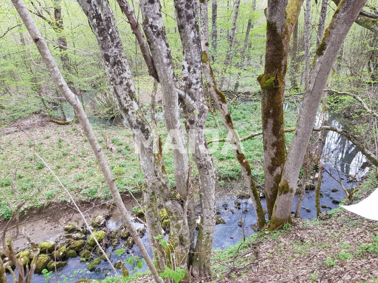 Земля в Слуне, Хорватия, 782 333 м² - фото 14