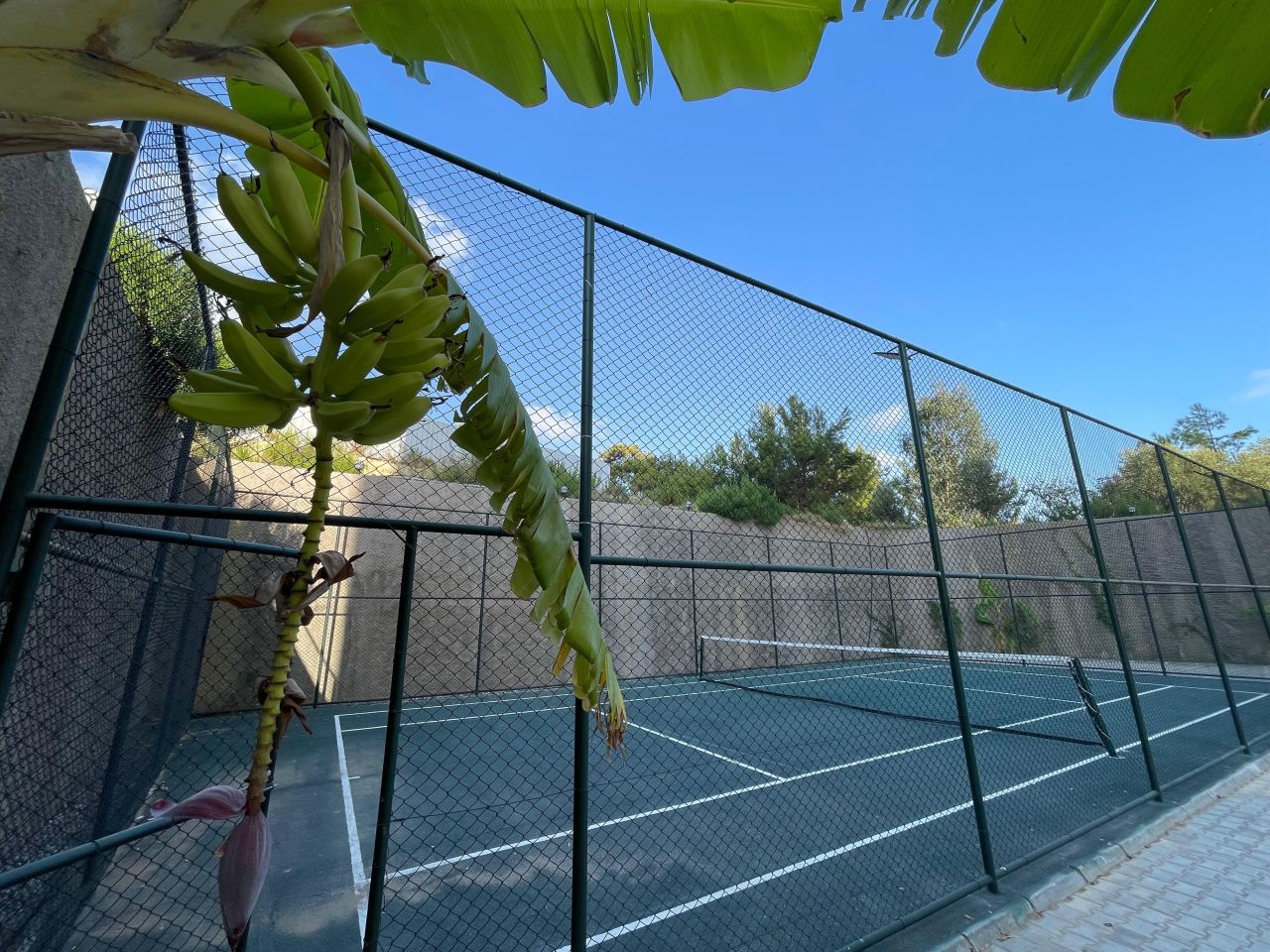 Квартира в Авсалларе, Турция, 45 м² - фото 5