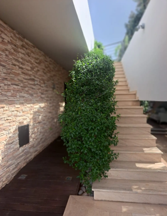 Дом в Эмба, Кипр - фото 9