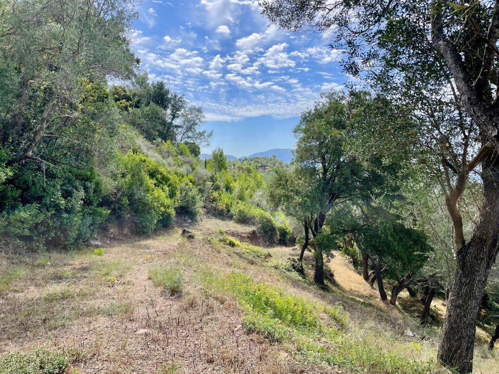 Земля на Корфу, Греция, 8 000 м² - фото 14