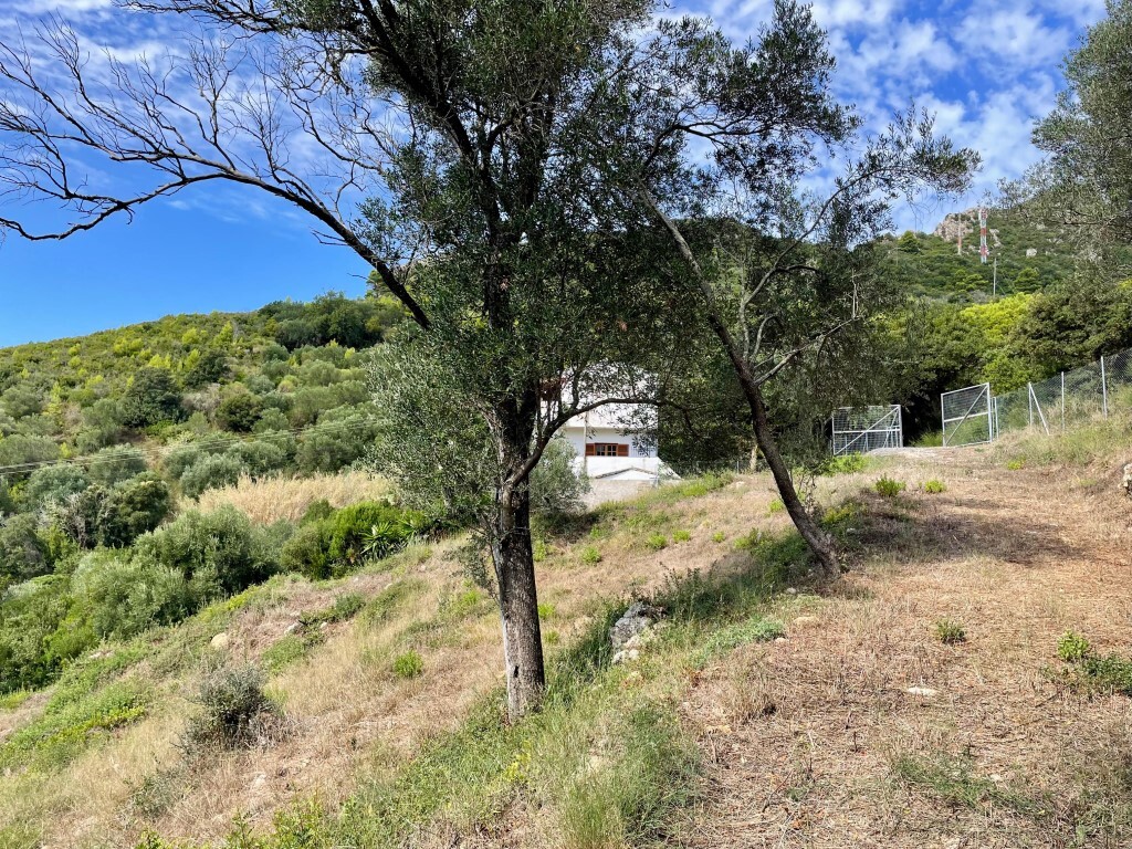 Земля на Корфу, Греция, 8 000 м² - фото 15