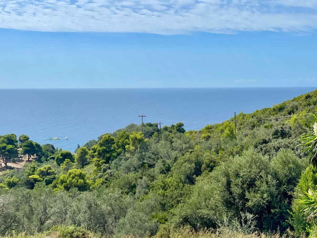 Земля на Корфу, Греция, 8 000 м² - фото 17