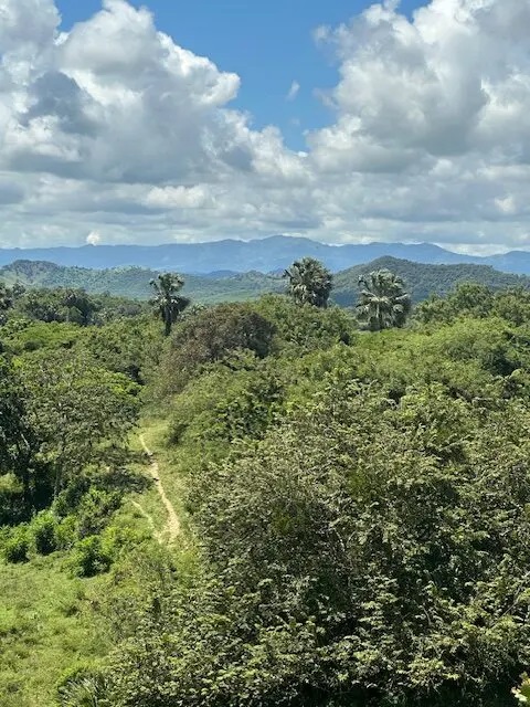 Земля в Пуэрто-Плата, Доминиканская Республика, 15 000 м² - фото 6