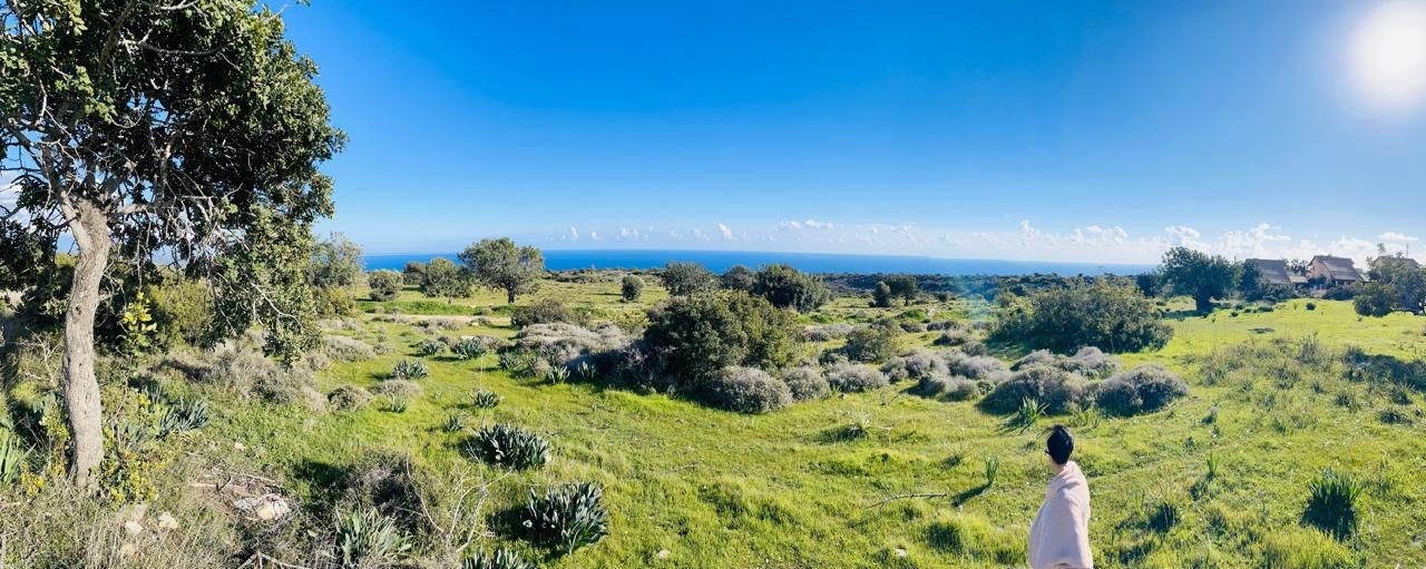 Земля в Лимасоле, Кипр, 11 372 м² - фото 3