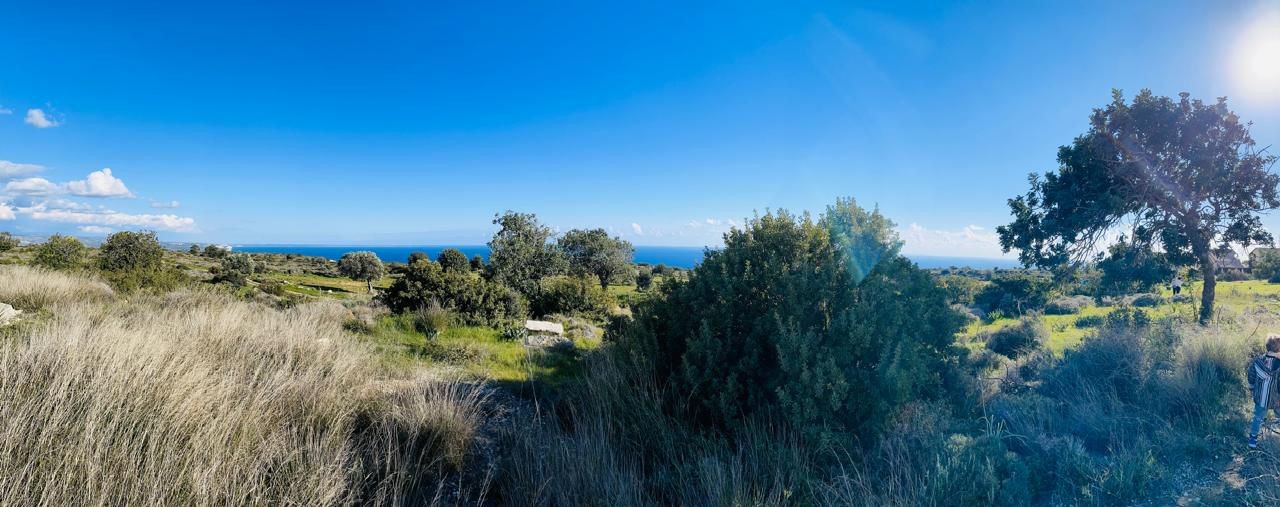 Земля в Лимасоле, Кипр, 11 372 м² - фото 4