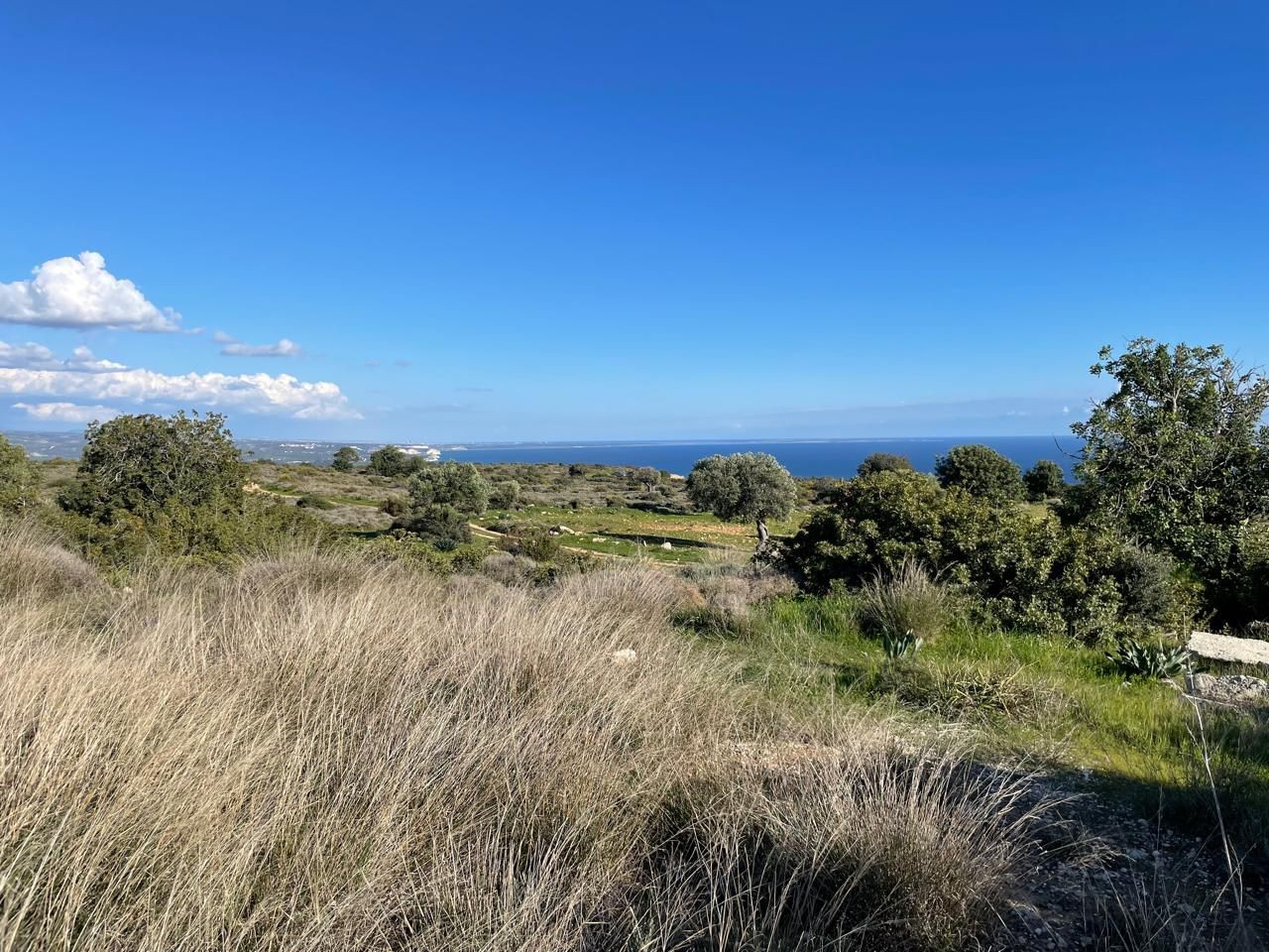 Земля в Лимасоле, Кипр, 11 372 м² - фото 5