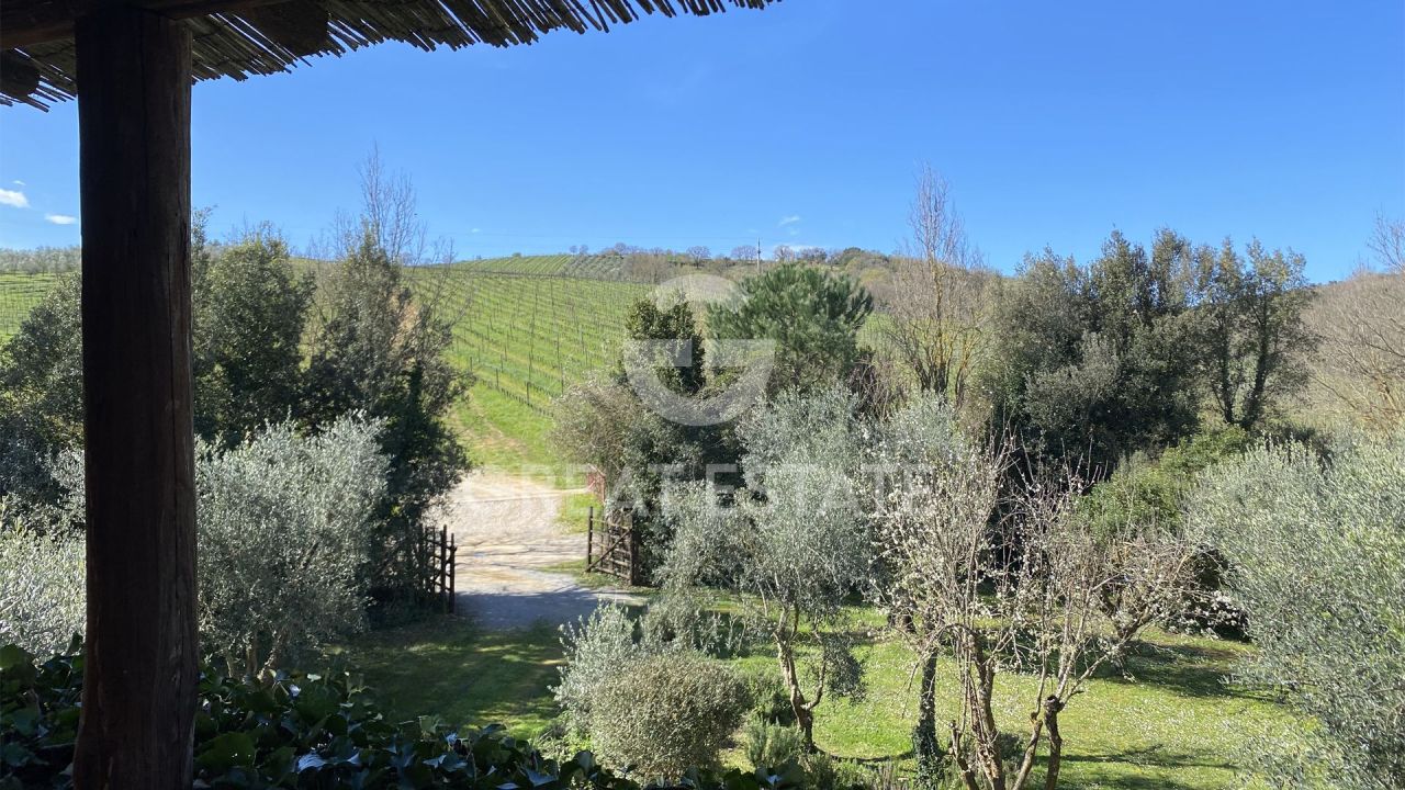 Дом Magliano in Toscana, Италия, 207.7 м² - фото 9