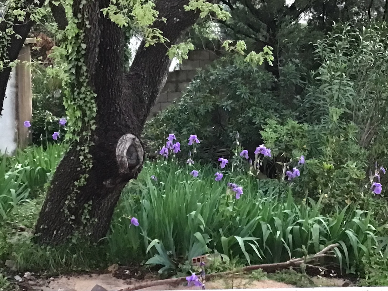 Дом в Баре, Черногория, 260 м² - фото 2