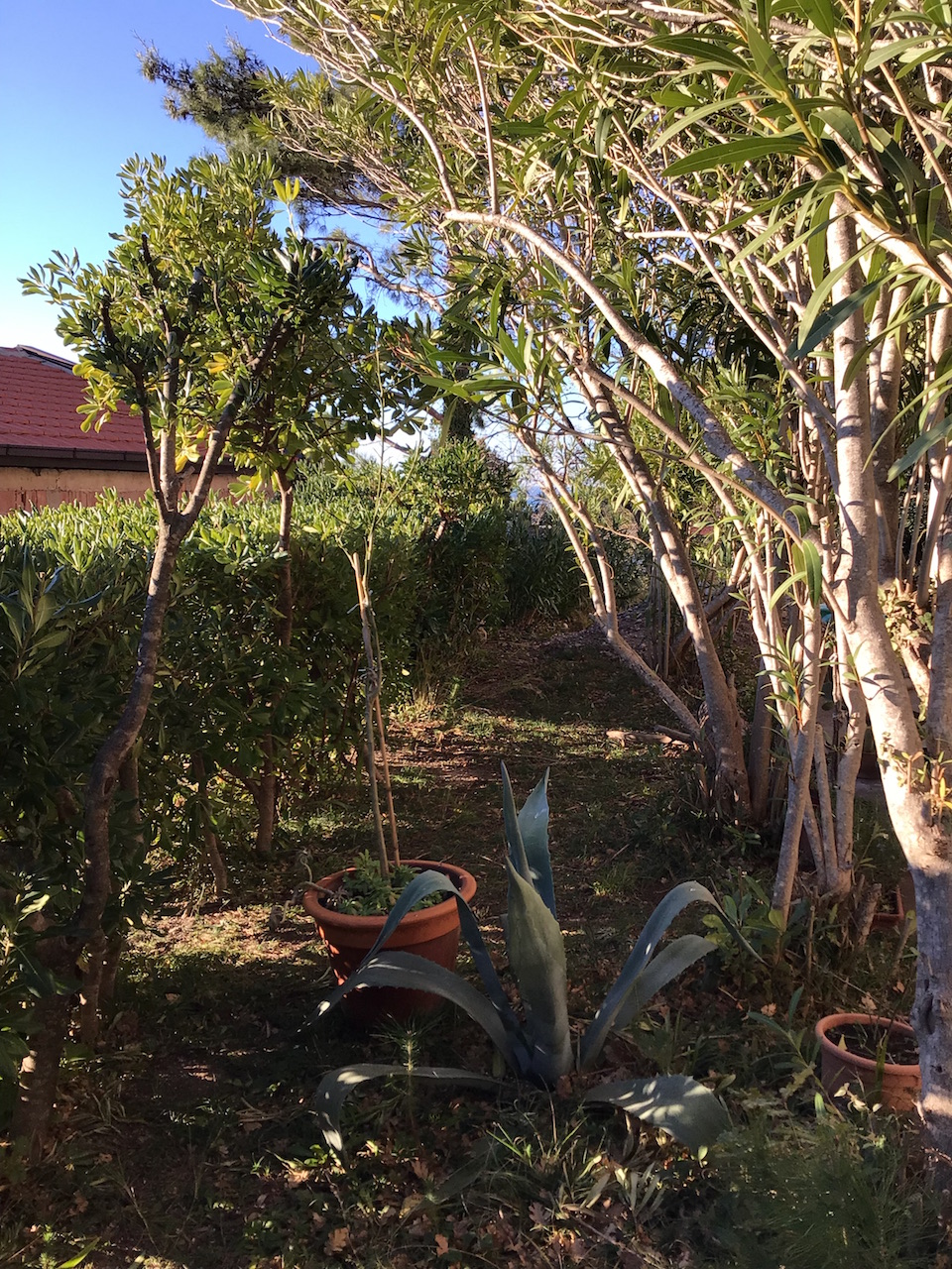 Дом в Баре, Черногория, 260 м² - фото 4