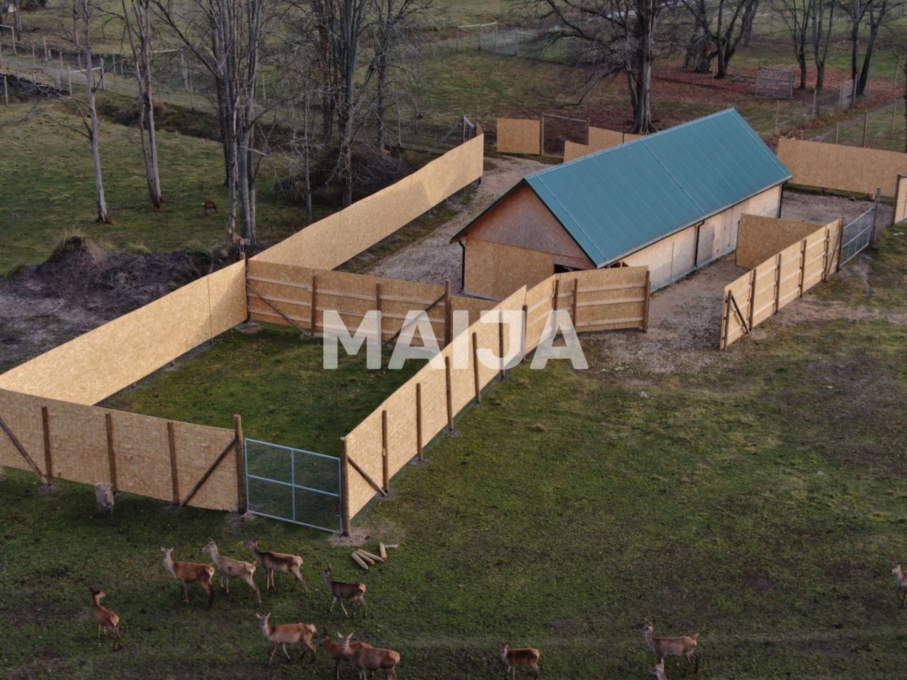 Коммерческая недвижимость Stradi, Латвия, 200 м² - фото 3