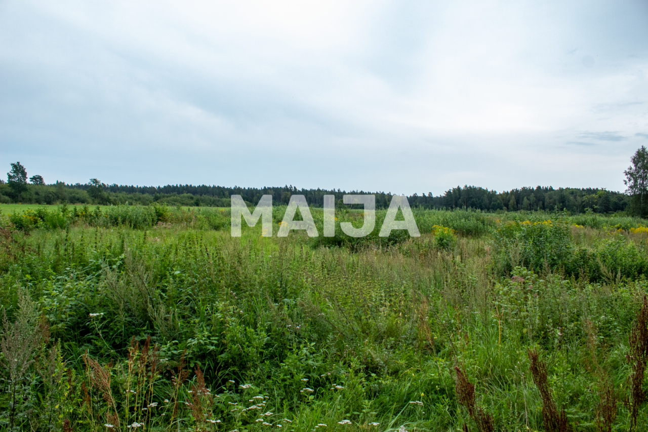 Земля в Бабите, Латвия, 86 000 м² - фото 6