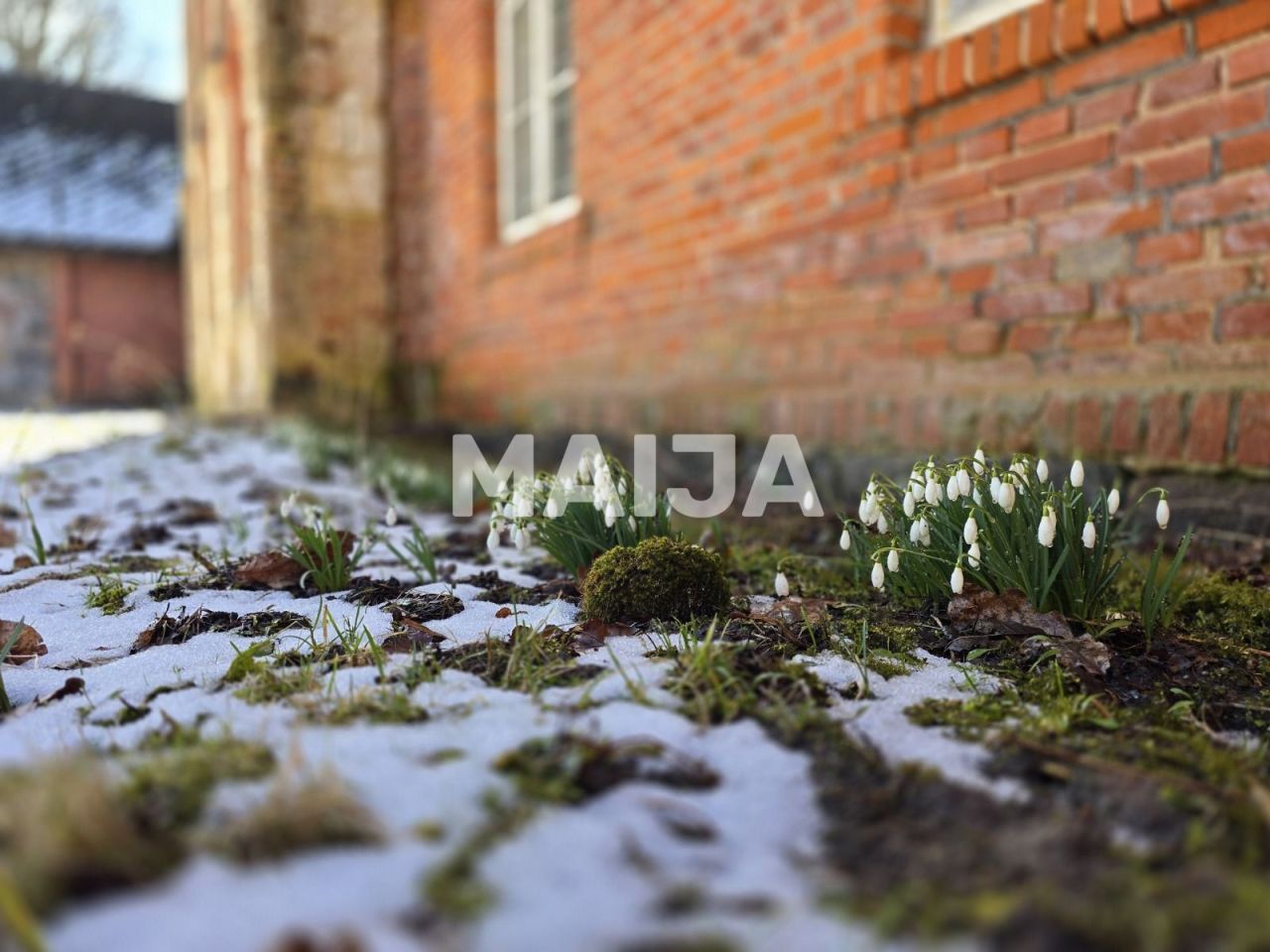 Квартира Stameriena, Латвия, 632 м² - фото 9