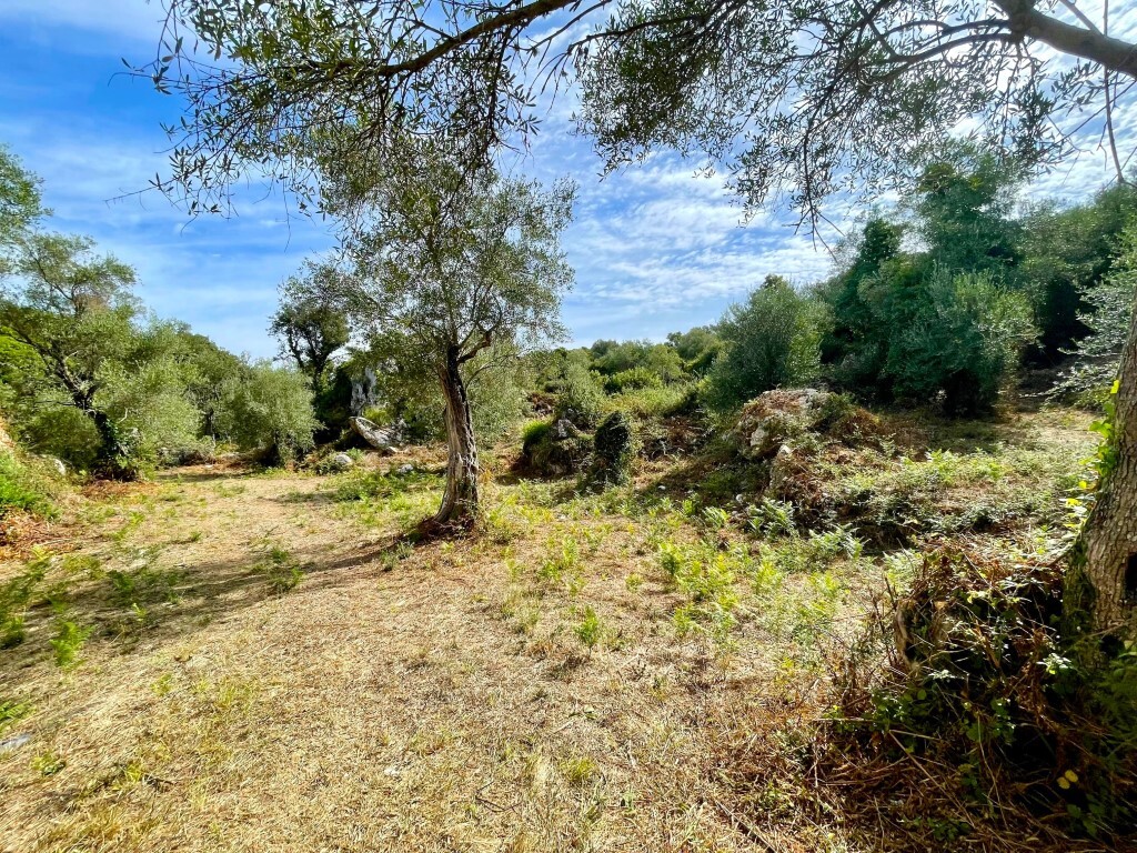 Земля на Корфу, Греция, 4 162 м² - фото 2