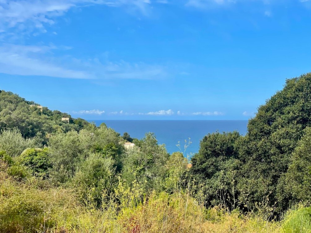 Земля на Корфу, Греция, 4 012 м² - фото 2