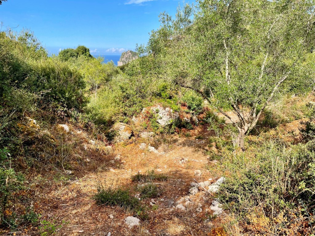 Земля на Корфу, Греция, 4 162 м² - фото 3