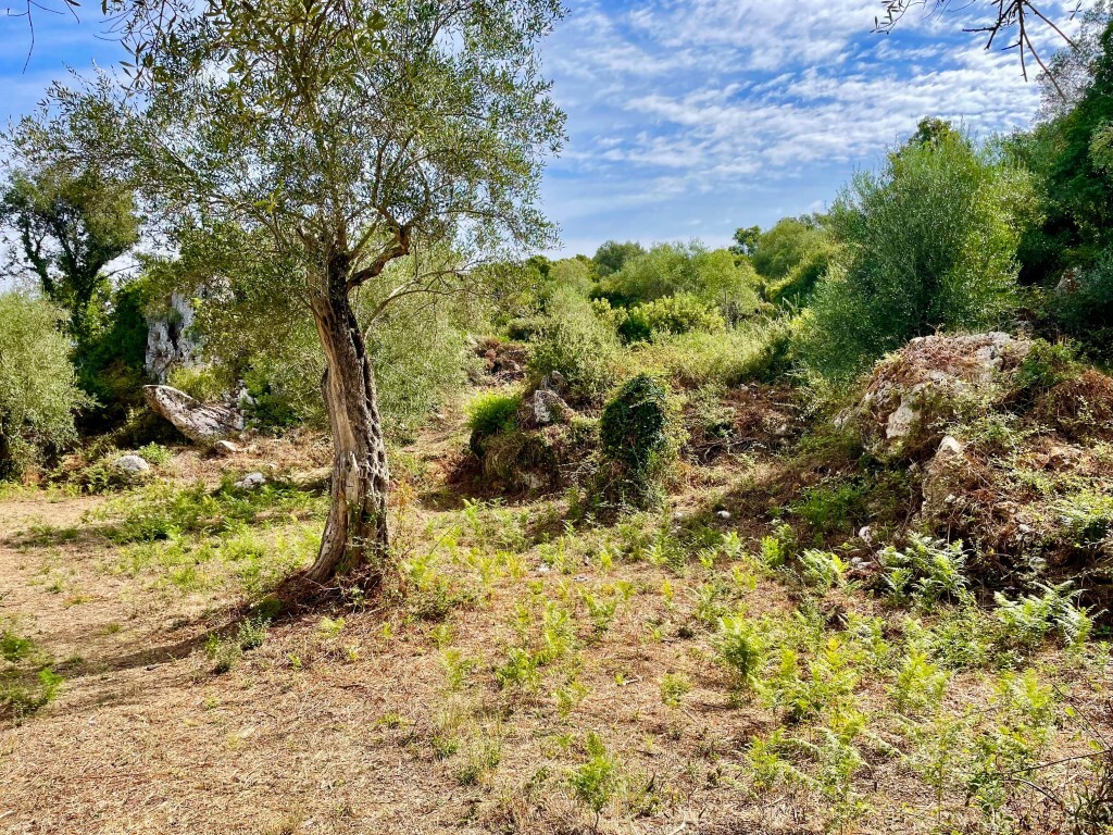 Земля на Корфу, Греция, 4 162 м² - фото 4