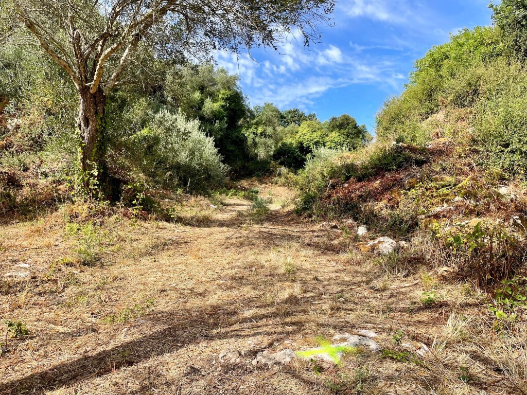 Земля на Корфу, Греция, 4 162 м² - фото 5