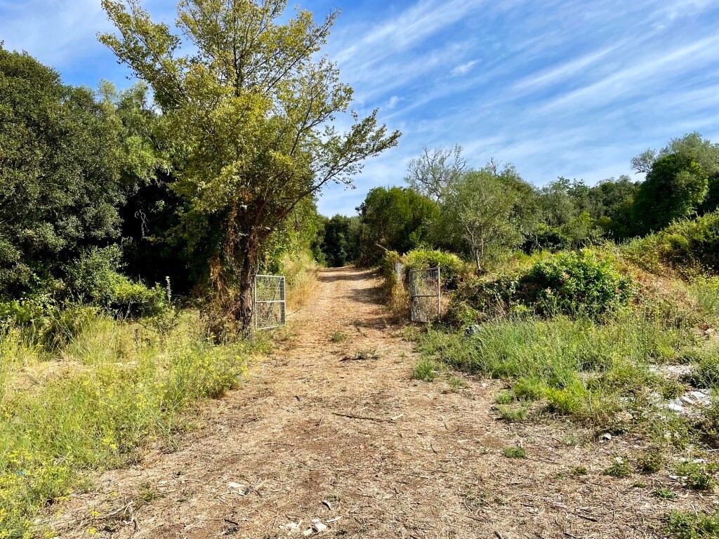 Земля на Корфу, Греция, 4 012 м² - фото 5