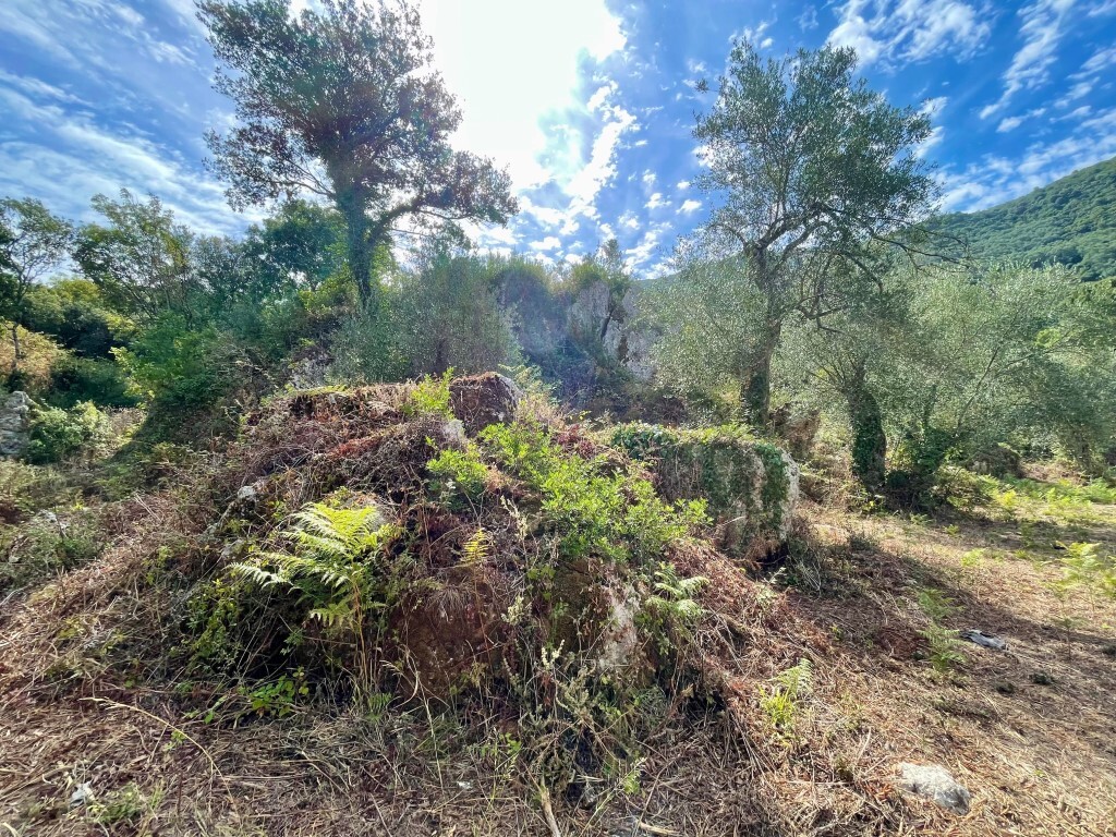 Земля на Корфу, Греция, 4 162 м² - фото 6