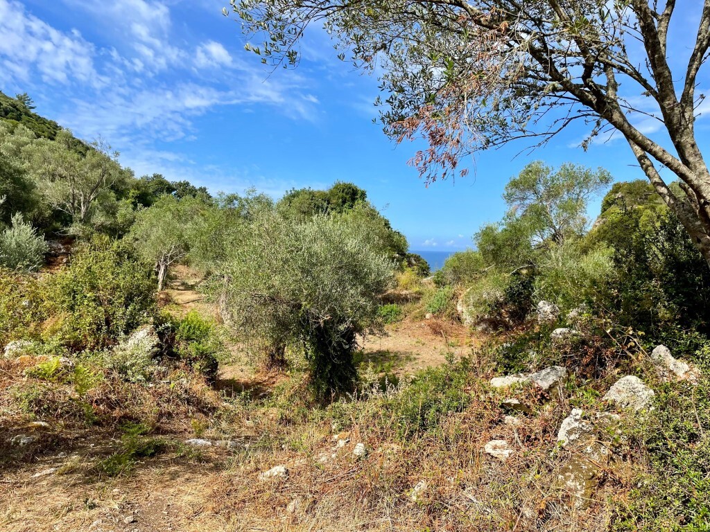 Земля на Корфу, Греция, 4 162 м² - фото 7