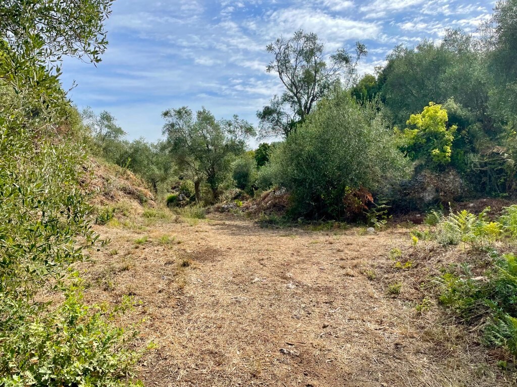 Земля на Корфу, Греция, 4 012 м² - фото 8