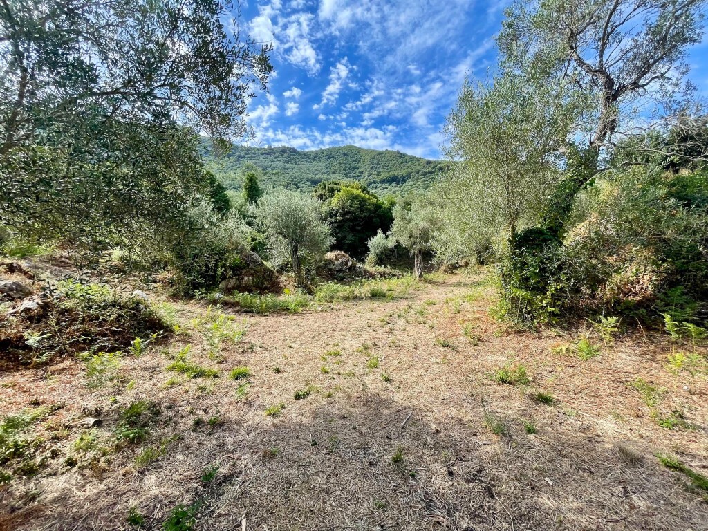 Земля на Корфу, Греция, 4 162 м² - фото 9