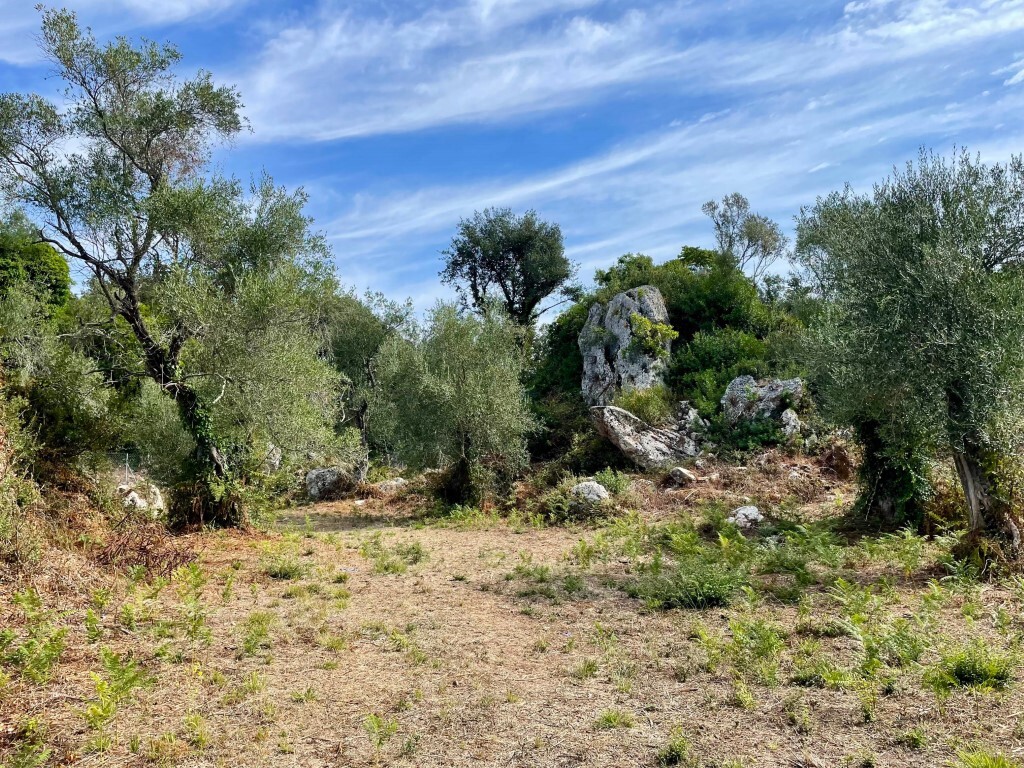 Земля на Корфу, Греция, 4 162 м² - фото 10