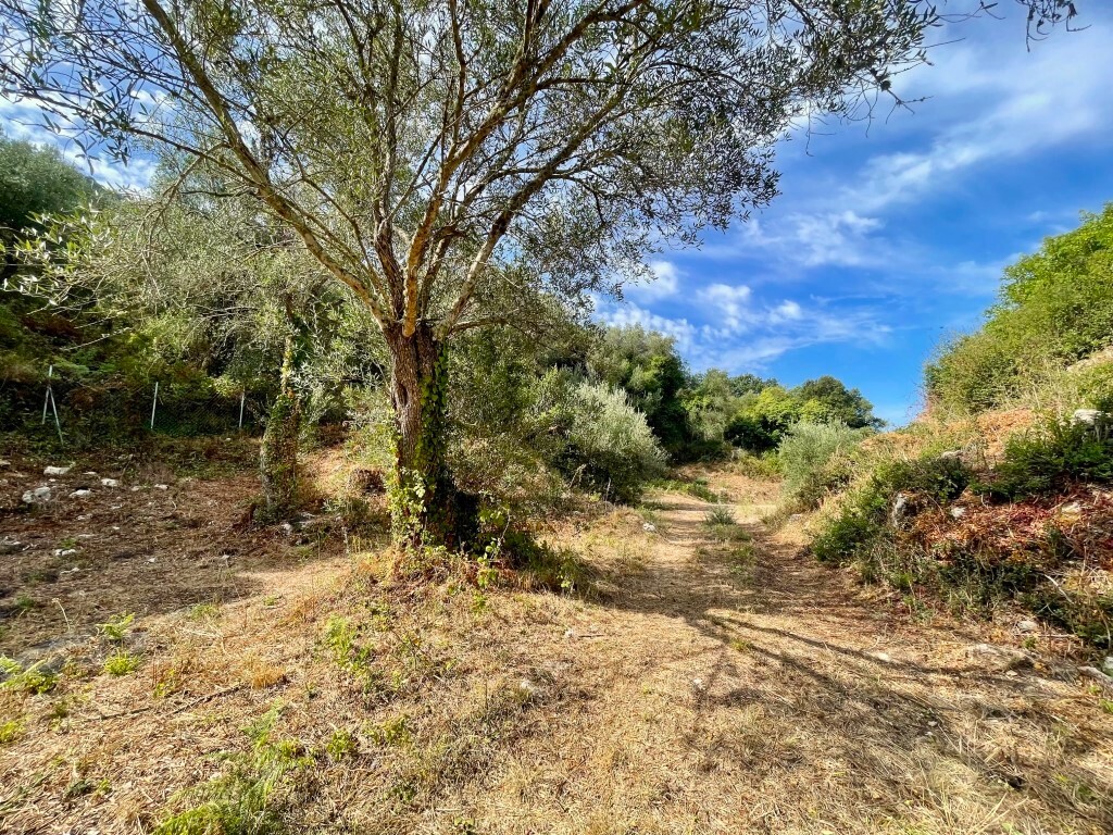 Земля на Корфу, Греция, 4 012 м² - фото 12