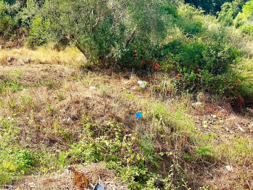 Земля на Корфу, Греция, 4 012 м² - фото 14