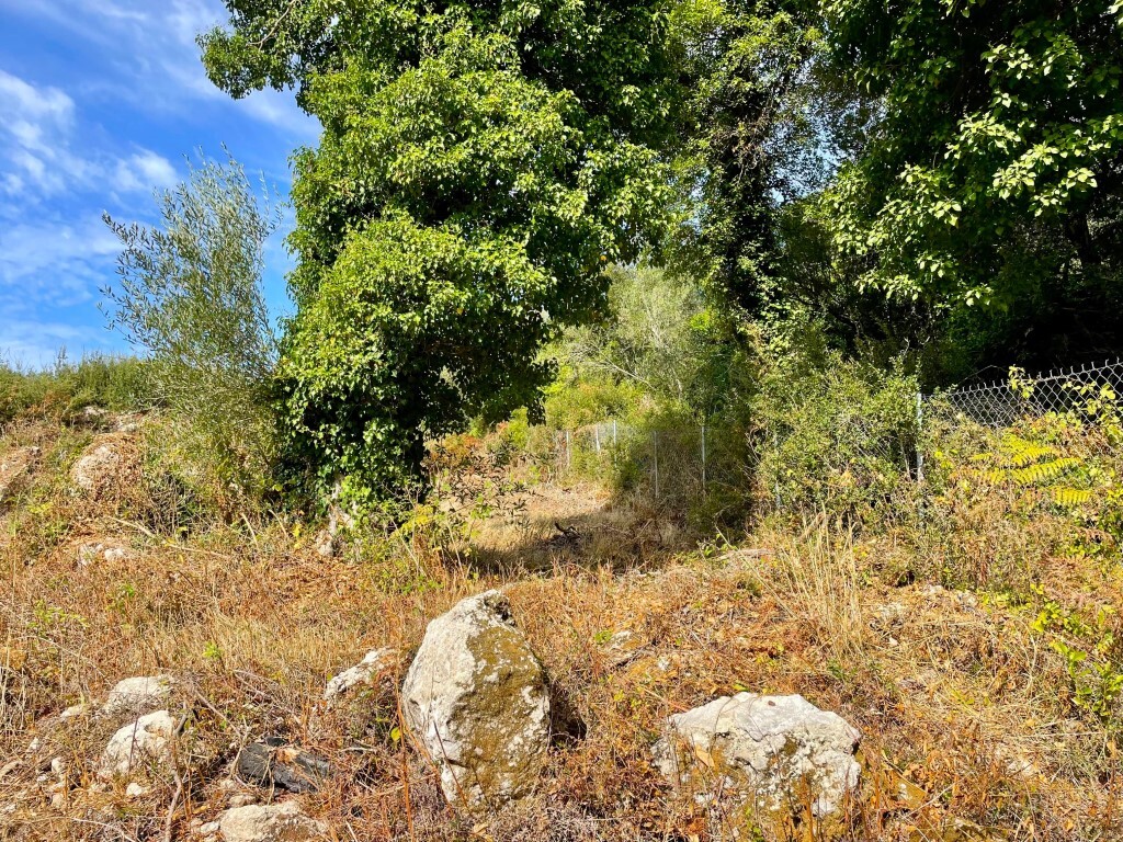 Земля на Корфу, Греция, 4 162 м² - фото 16