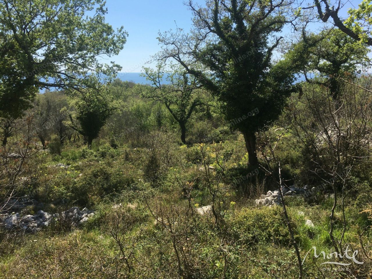 Земля в Режевичах, Черногория, 6 049 м² - фото 2